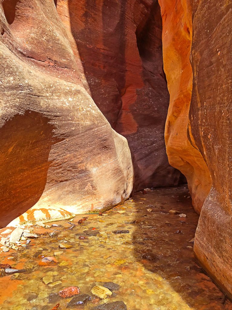Kanarra Creek running through a red and orange slot canyon