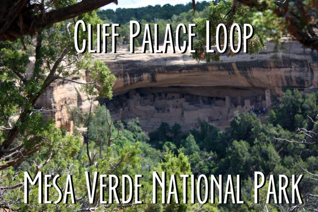 Picture of Cliff Palace with text "Cliff Palace Loop: Mesa Verde National Park"