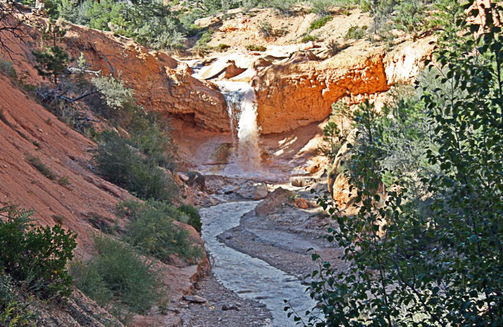 The waterfall on the Mossy Cave trail