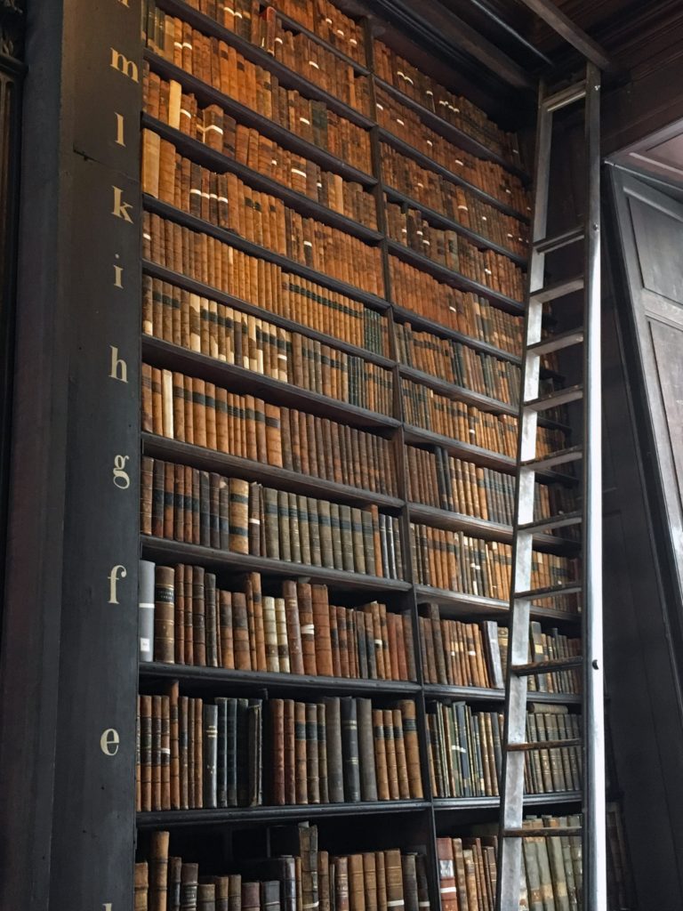 Book shelf in the long room