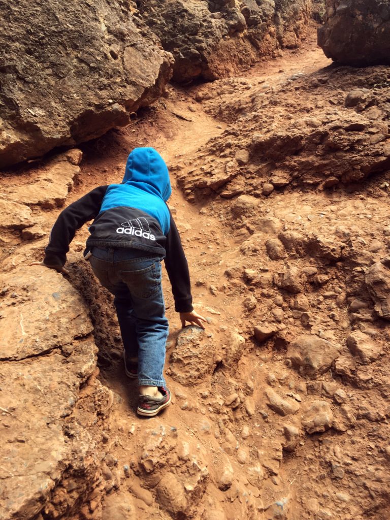 Boy climbing up bank at Grotto Falls
