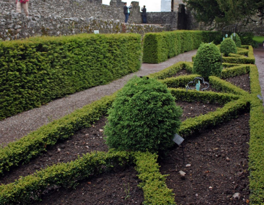 Poison Garden at Blarney Castle
