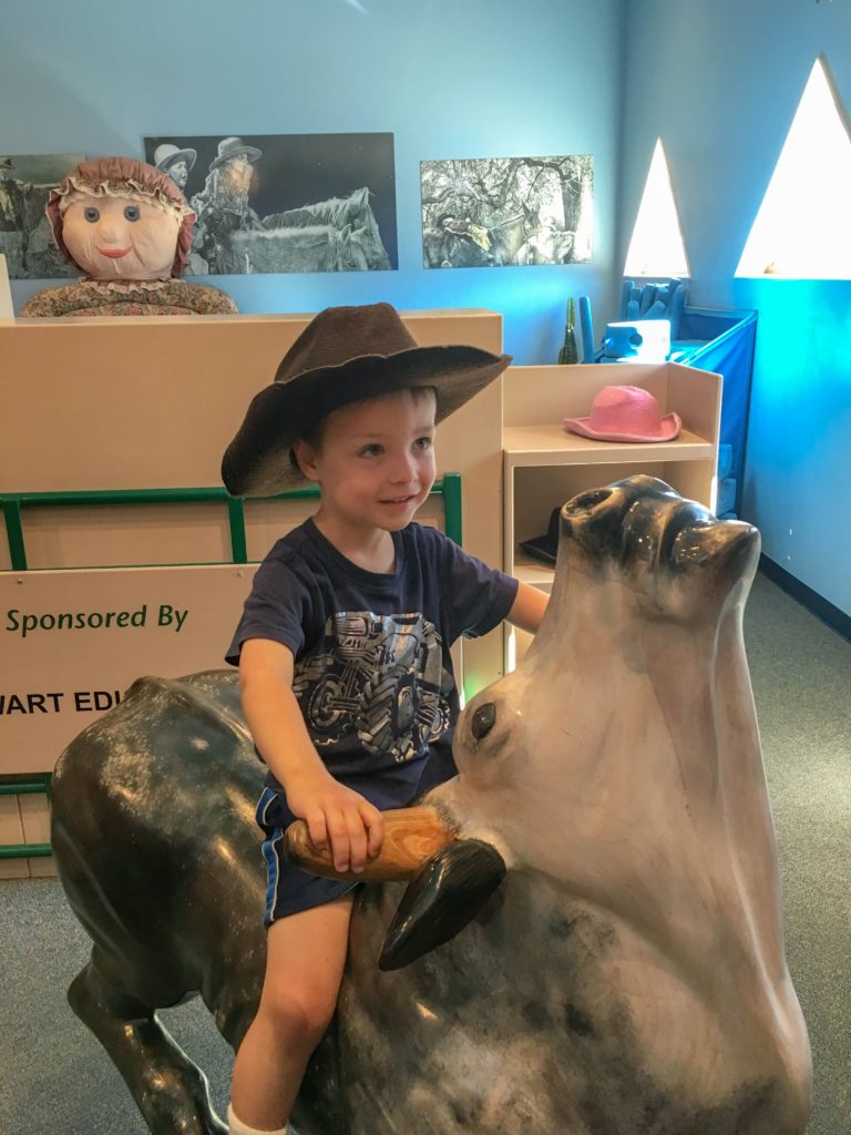 Rodeo at Treehouse Museum