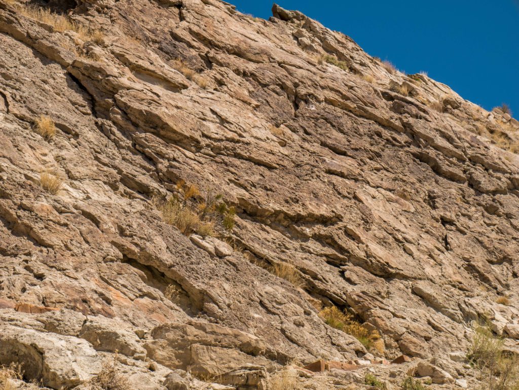 There is supposed to be a fossil in the picture of a cliff face