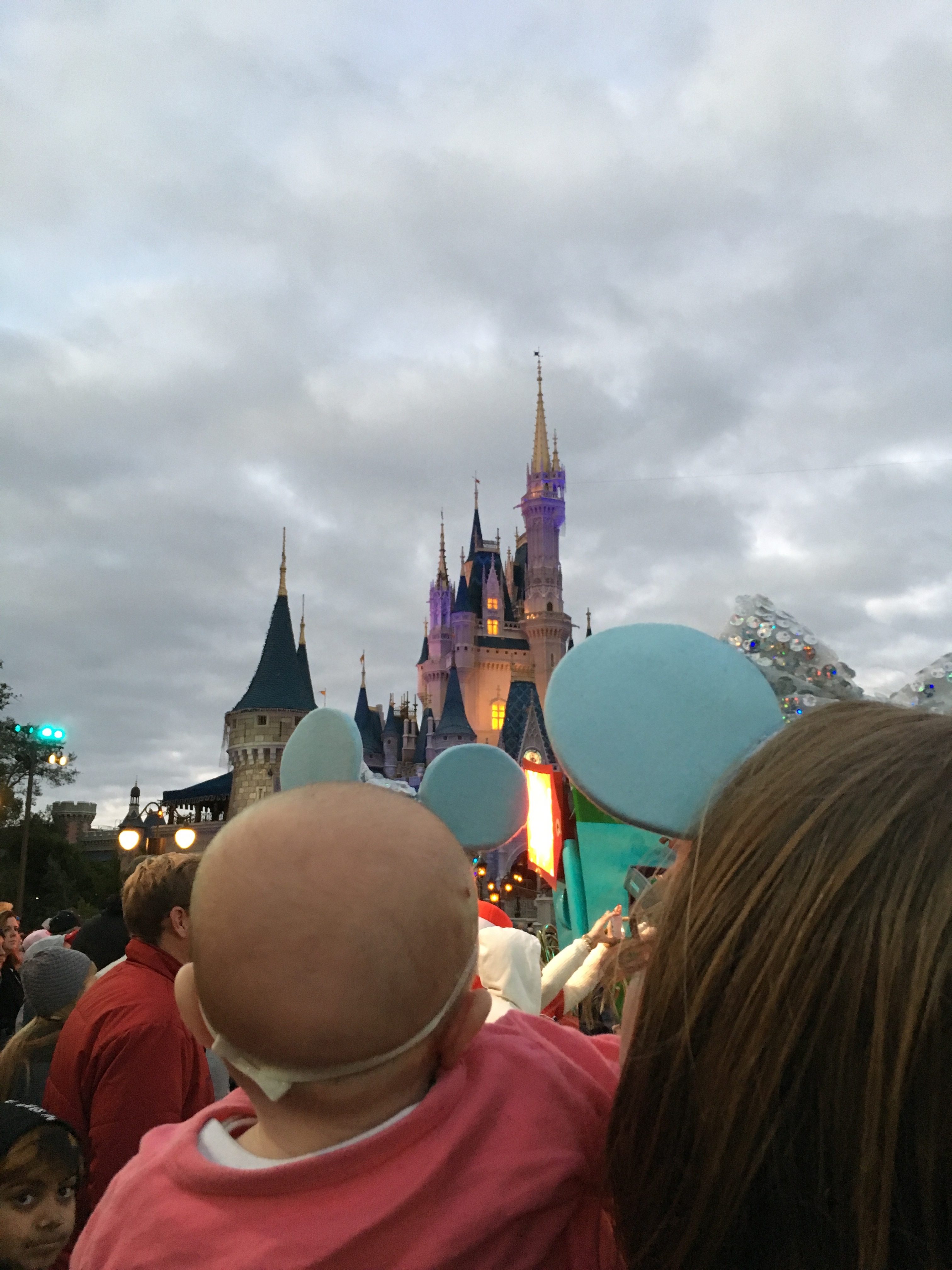 Disney World at Castle