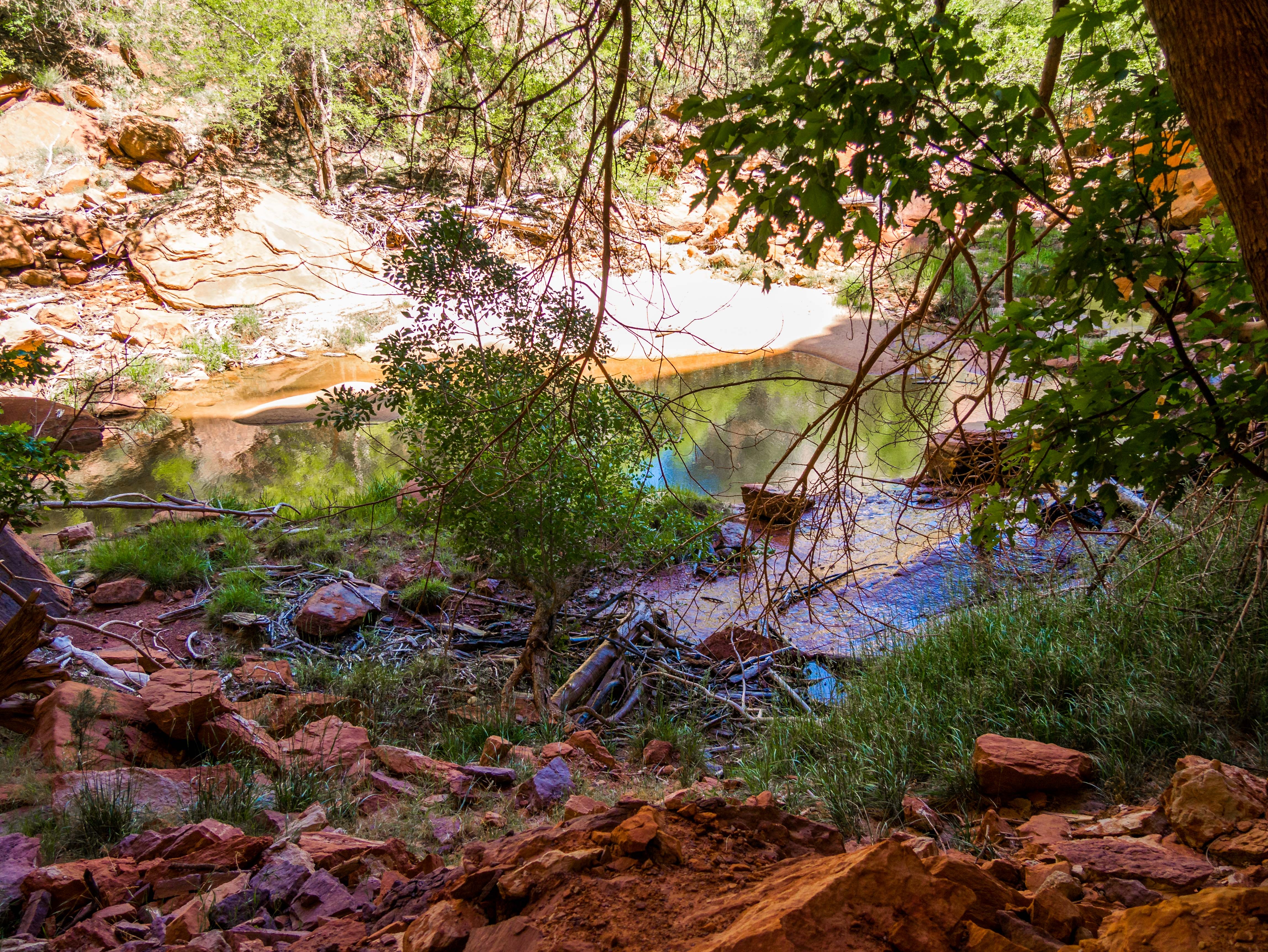 the Lower Emerald Pool in Zion National Park