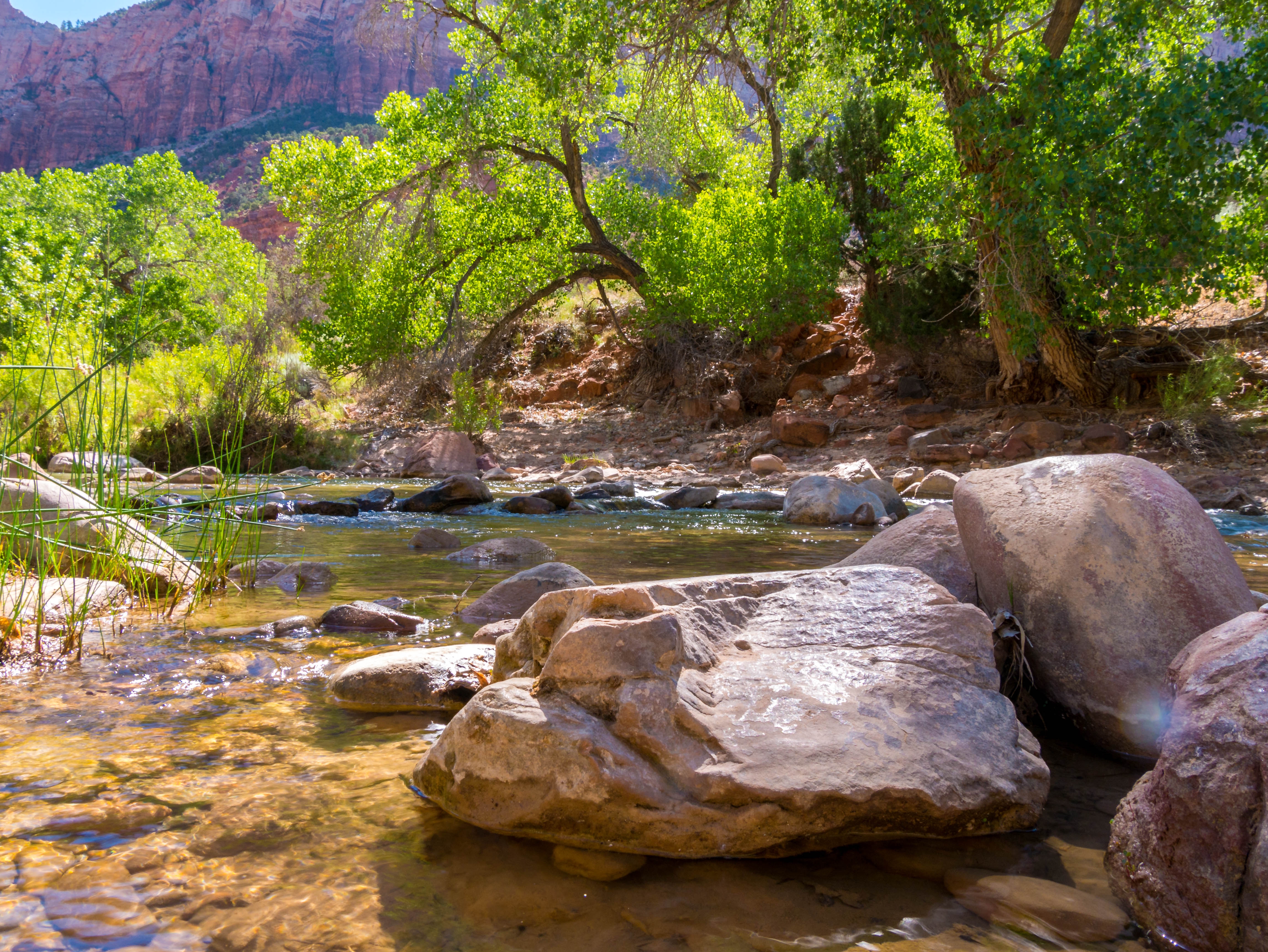 the Virgin River along the Pa'rus Trail in Zion National Park