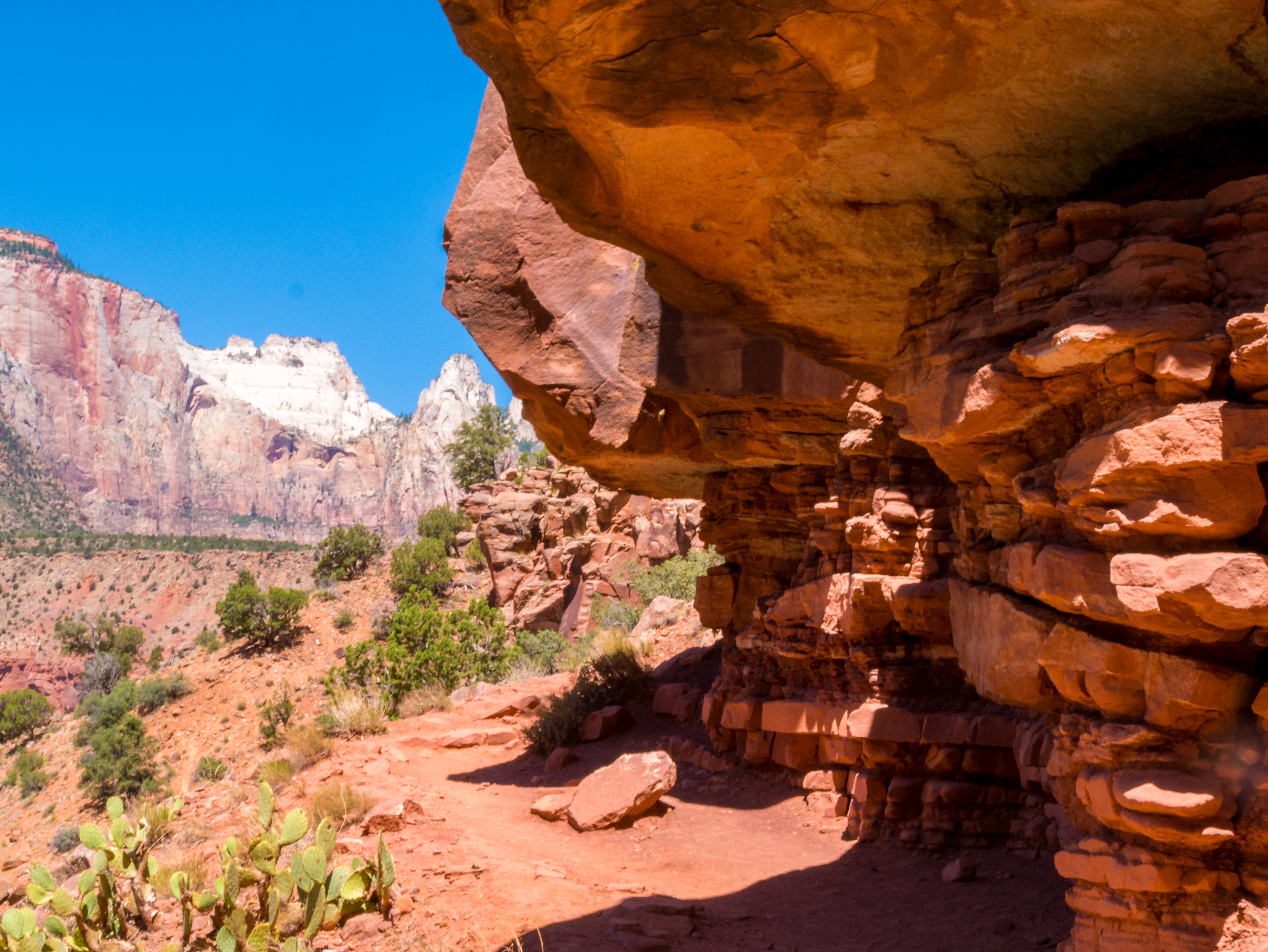 An shady overhang on the Watchman Trail at Zion National Park