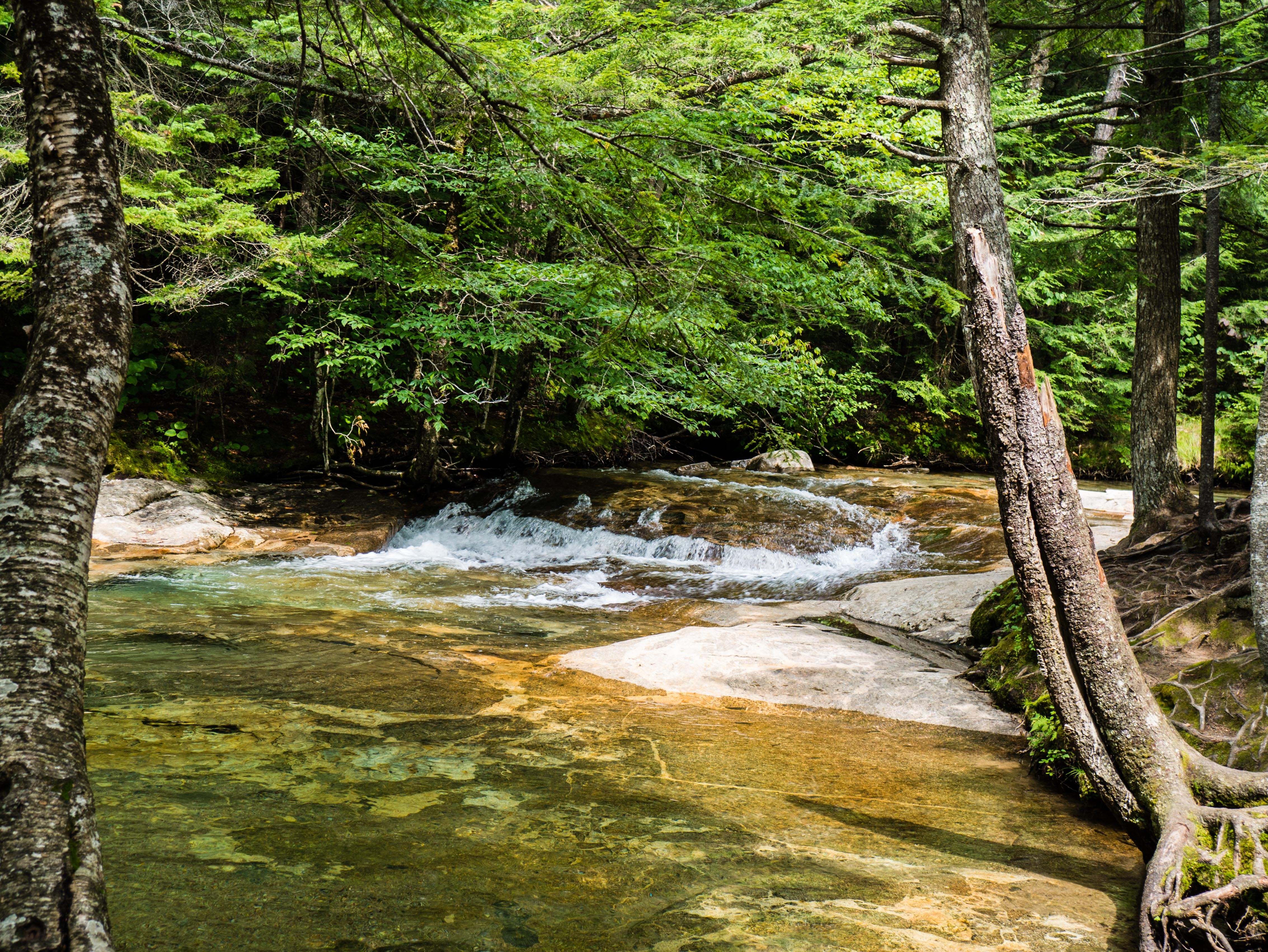 A river in Franconia Notch on the way to the Basin