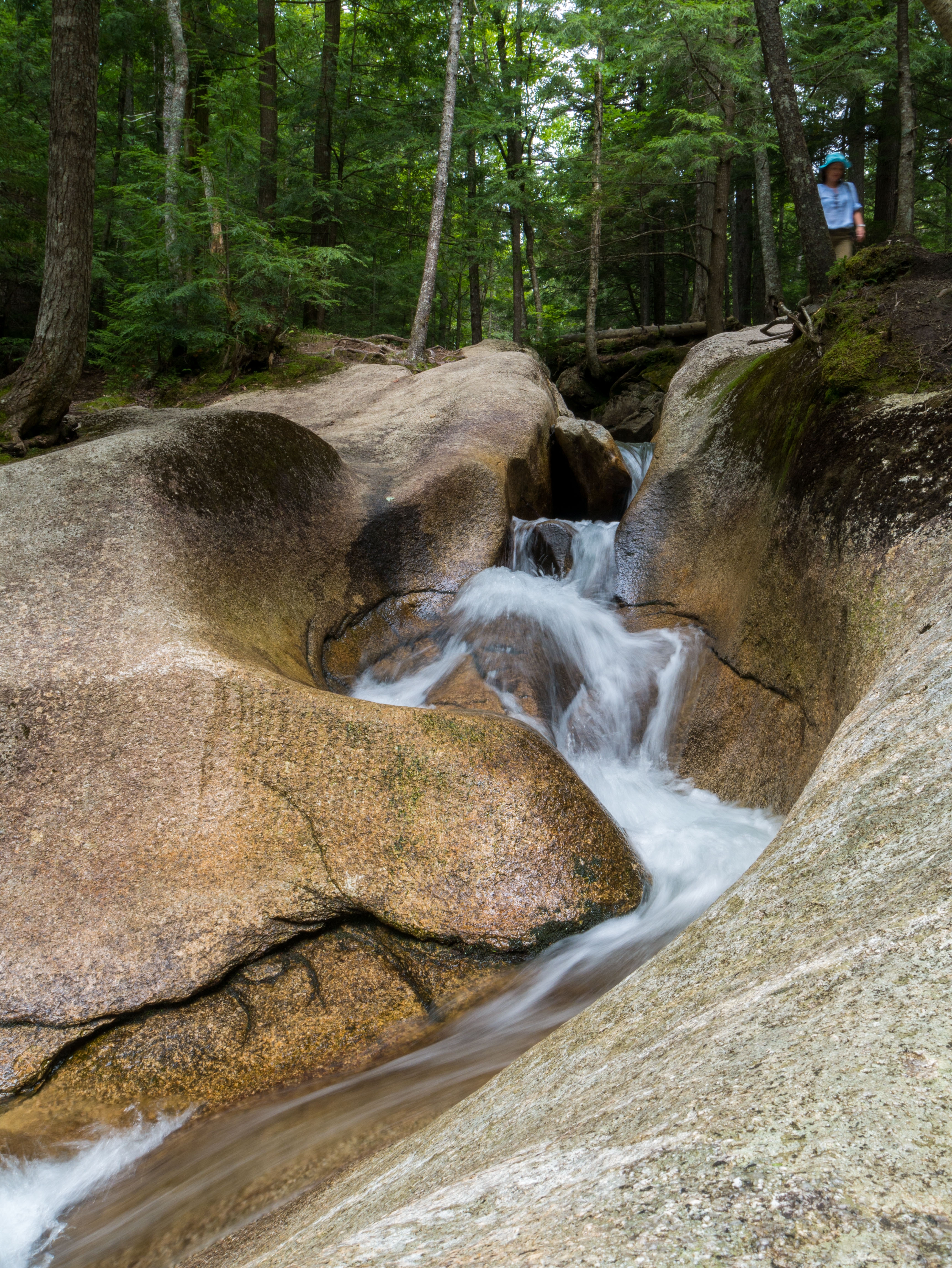 A small gorge on the way to the Basin at Franconia Notch