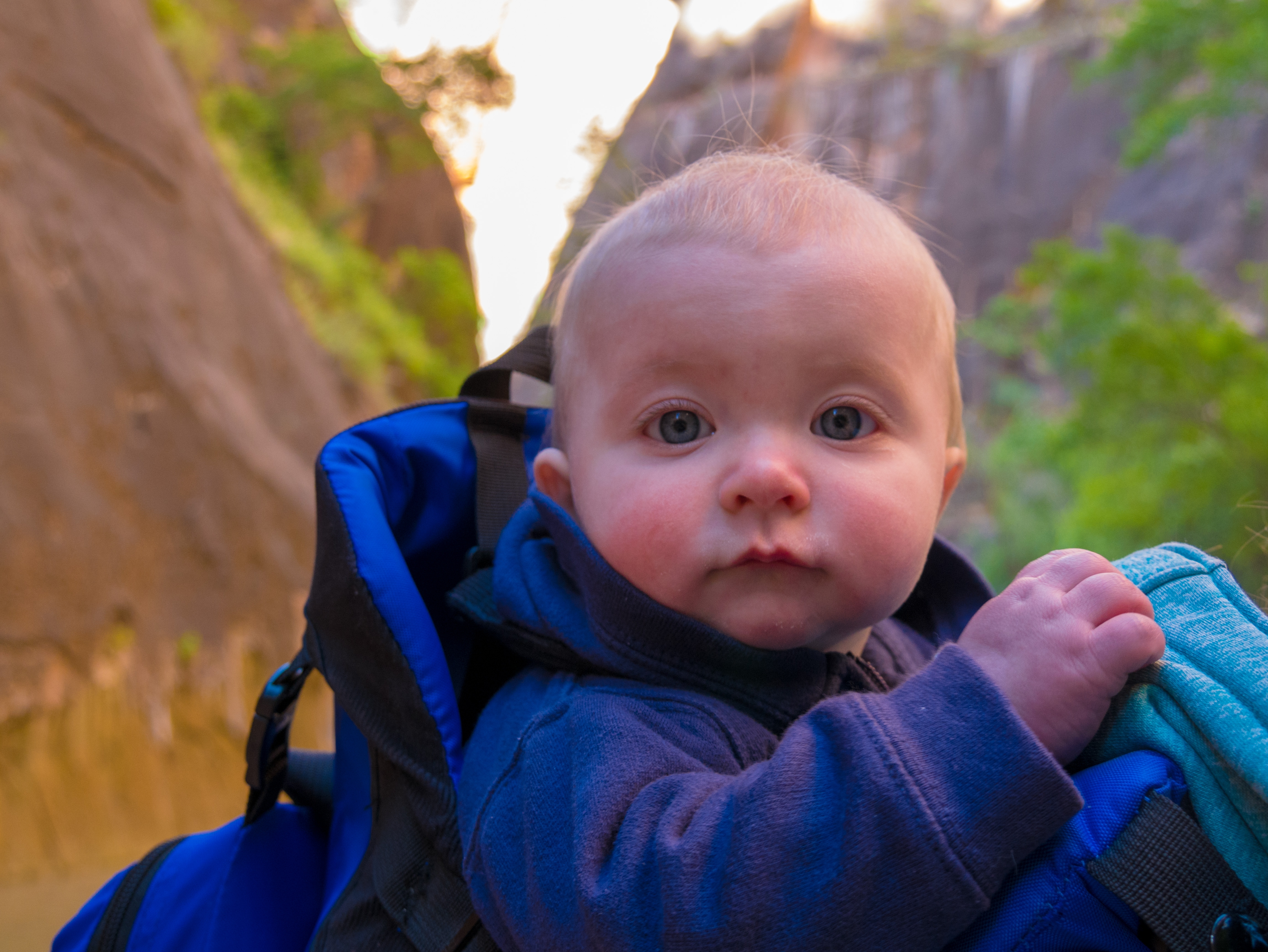 baby on a hike in Zion