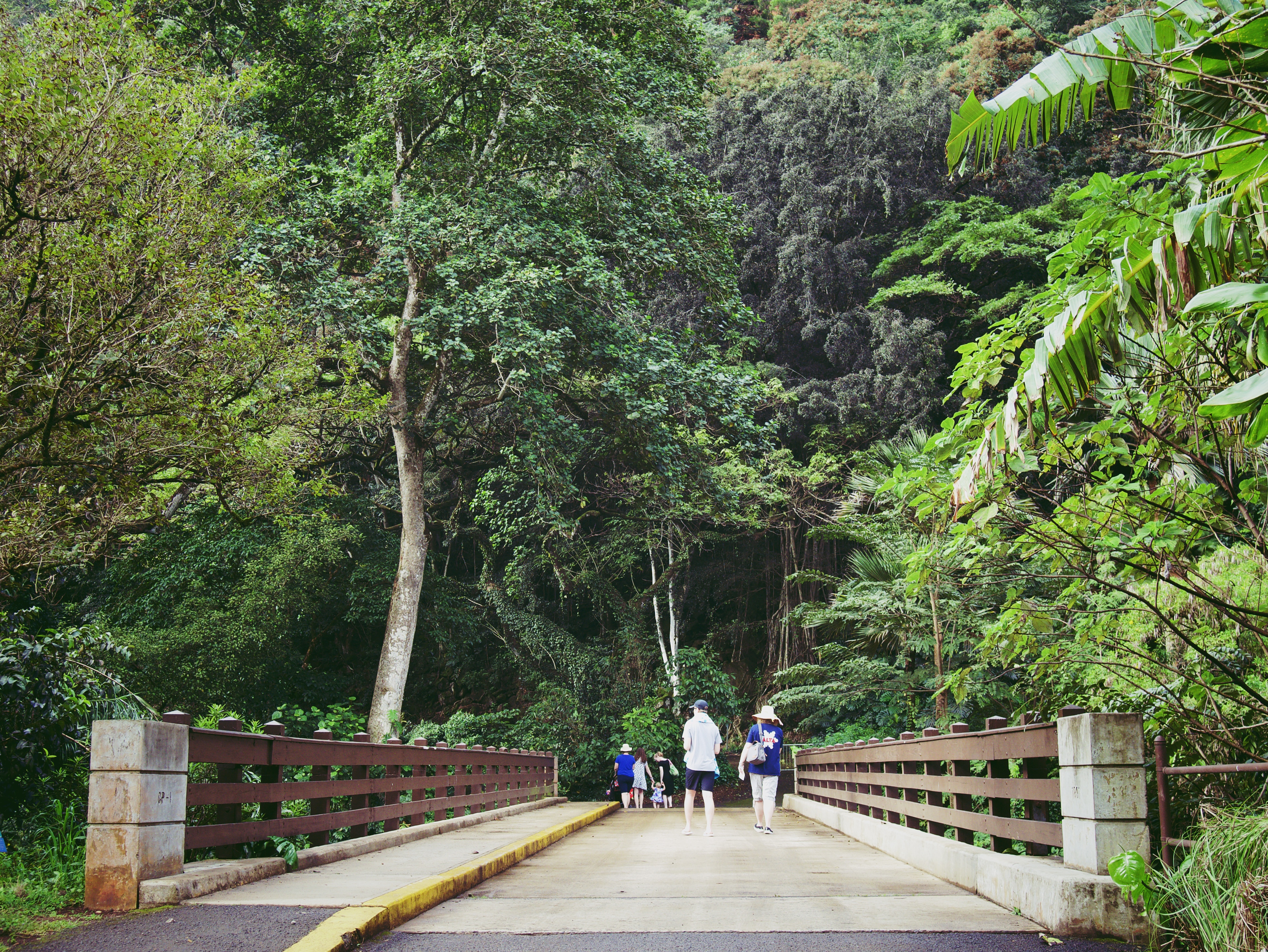 People crossing a bridge in Waimea Valley