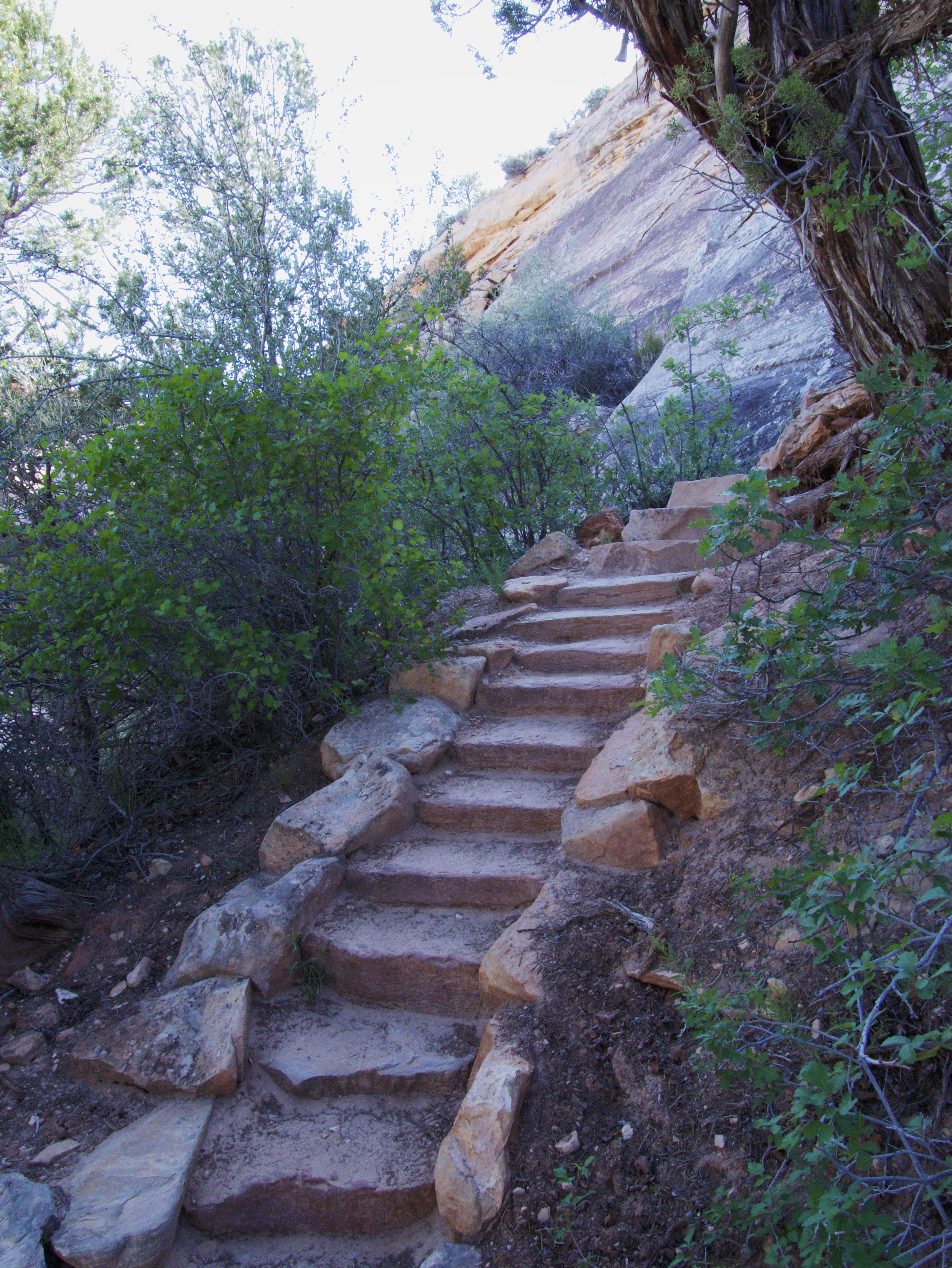 Stairs on the trail to Kachina Bridge at Natural Bridges National Monument
