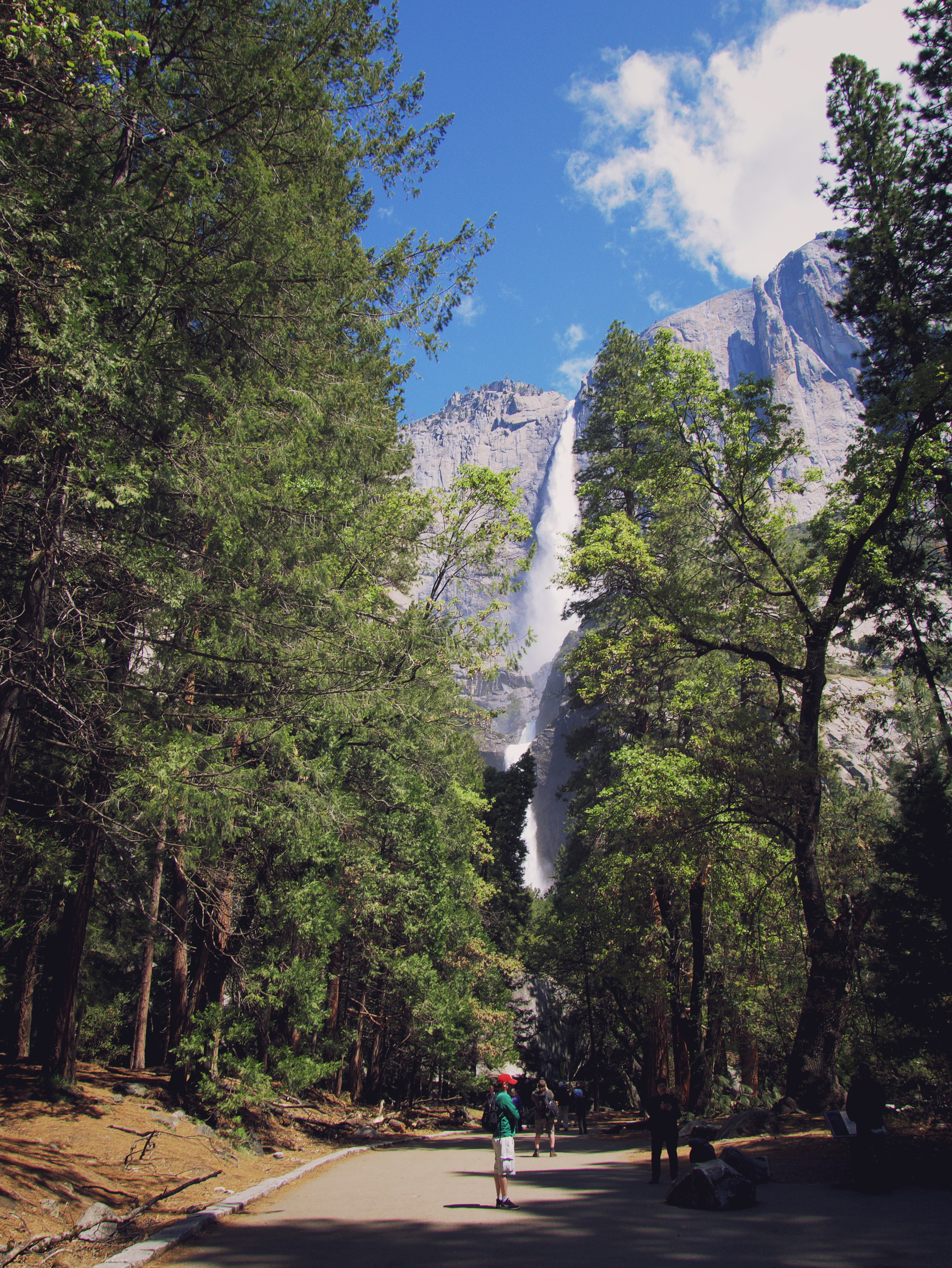 View of Yosemite Falls from the trail