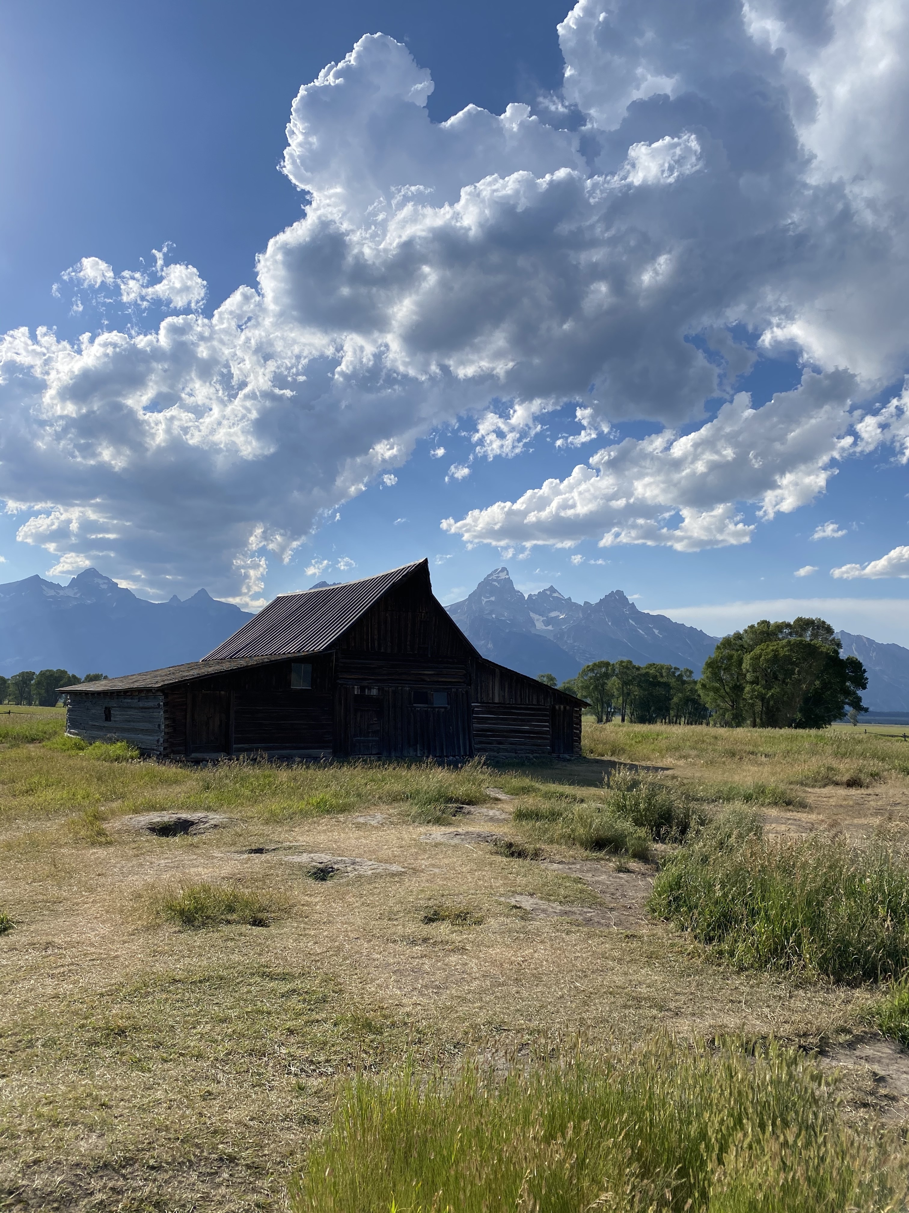 Portrait view of the Moulton Barn at Grand Teton National Park