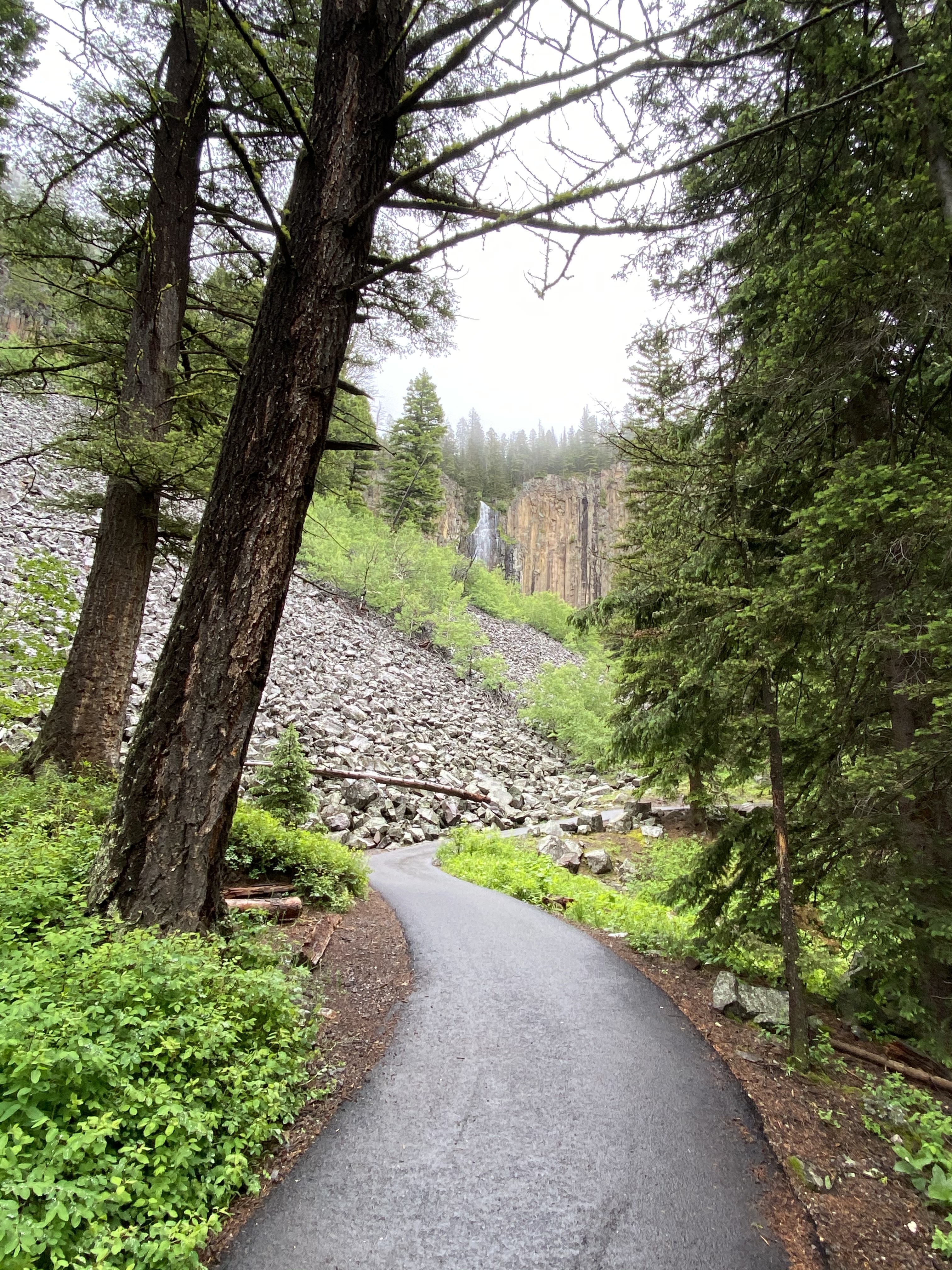 The paved path leading to Palisade Falls