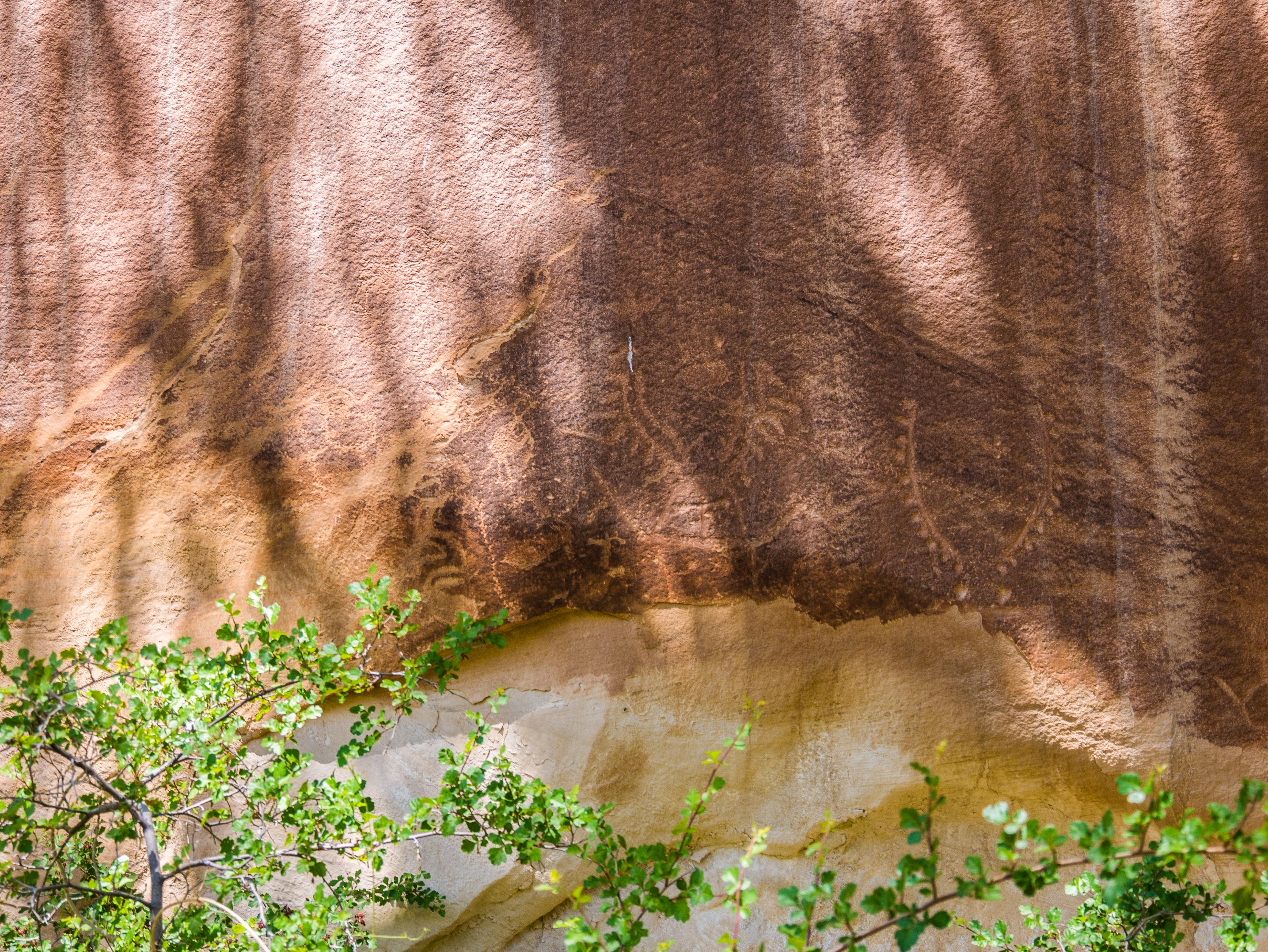 Some of the Fremont Culture Petroglyphs at Capitol Reef National Park