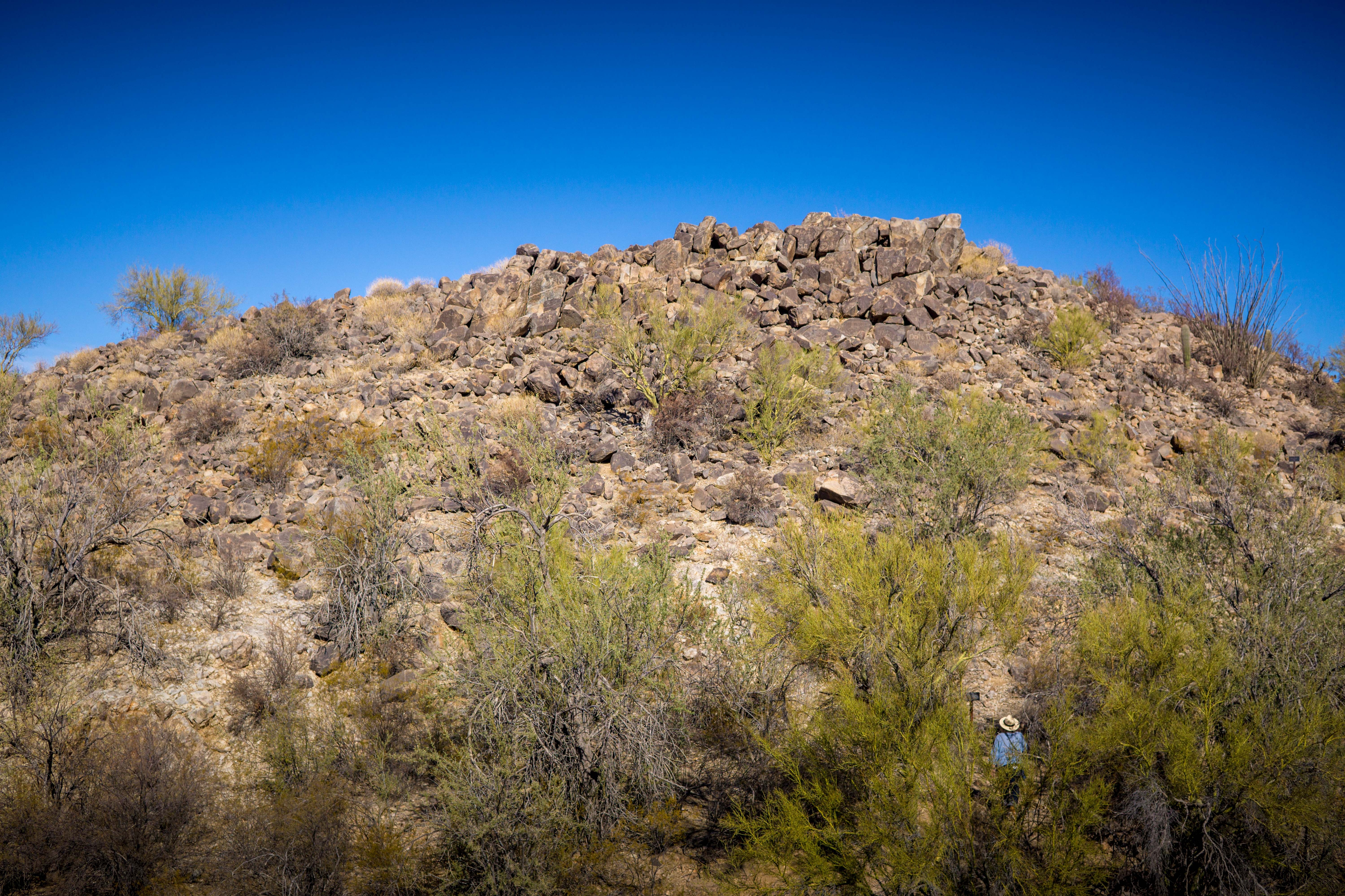 Signal Hill at Saguaro National Park