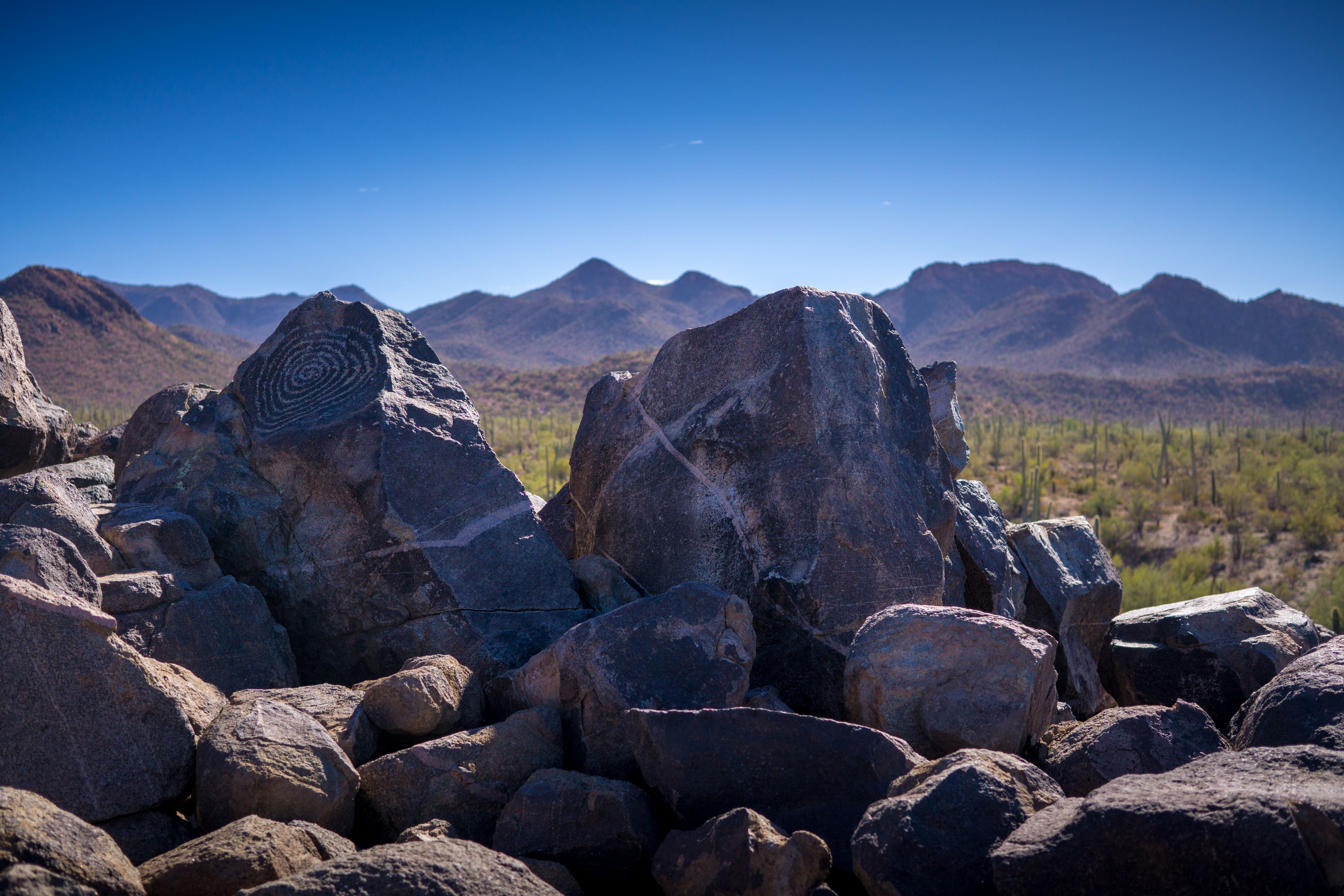 Signal Hill Petroglyphs in Saguaro National Park