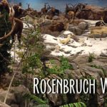 Rosenbruch Wildlife Museum in St. George