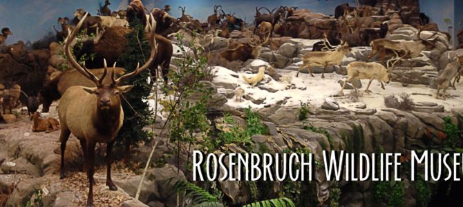 Rosenbruch Wildlife Museum in St. George