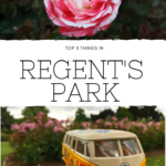 3 Things To Do In Regent’s Park