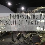 Thanksgiving Point’s Museum of Ancient Life in Lehi, UT