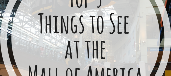 Top 5 Things at the Mall of America