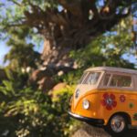 5 Things Not to Miss at Disney World’s Animal Kingdom