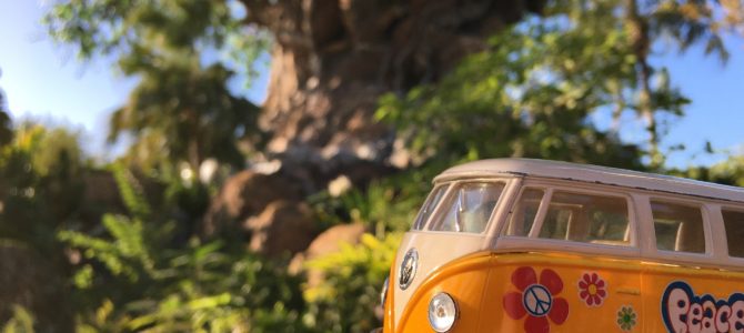 5 Things Not to Miss at Disney World’s Animal Kingdom