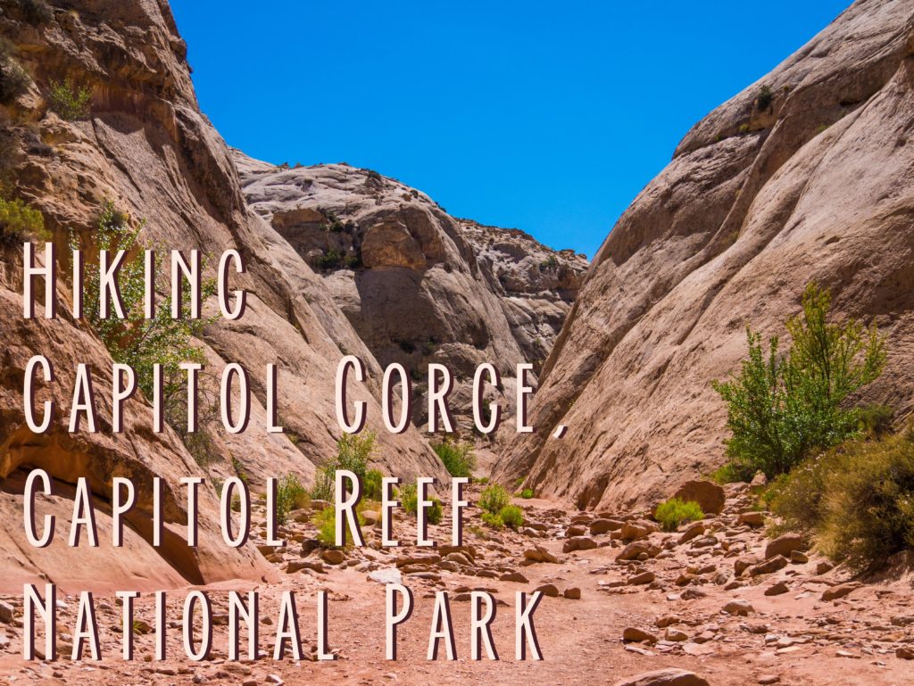 Hiking Capitol Gorge in Capitol Reef National Park Yellow Van Travels