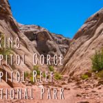 Hiking Capitol Gorge in Capitol Reef National Park