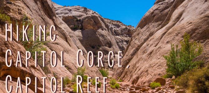 Hiking Capitol Gorge in Capitol Reef National Park