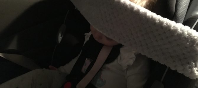 Review: Carseat Head Support from Sweet Carol Designs