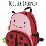 Review: Skip Hop Toddler Backpack