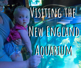 Visiting the New England Aquarium in Boston