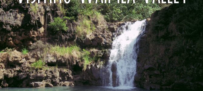 Visiting Waimea Valley and Waimea Falls on the North Shore of Oahu