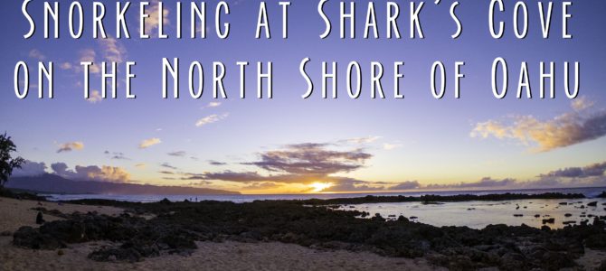 Snorkeling at Shark’s Cove on the North Shore of Oahu