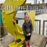 Visiting the Great Lakes Aquarium in Duluth, Minnesota
