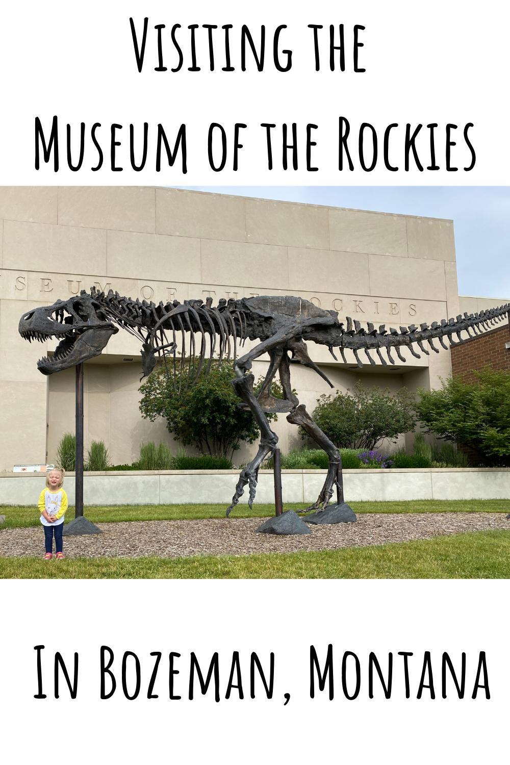 World-class Museum in Bozeman - Museum of the Rockies