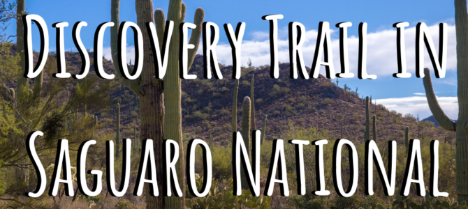 Hiking the Desert Discovery Trail in Saguaro National Park